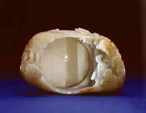 圖片